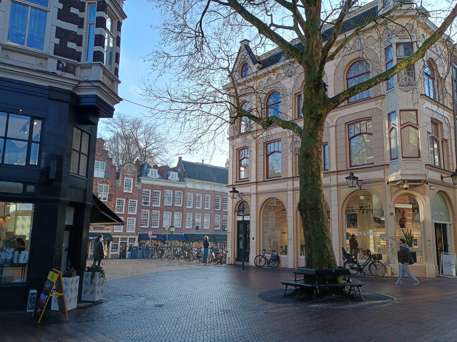 IMG_20260207_101622891_HDR.jpg