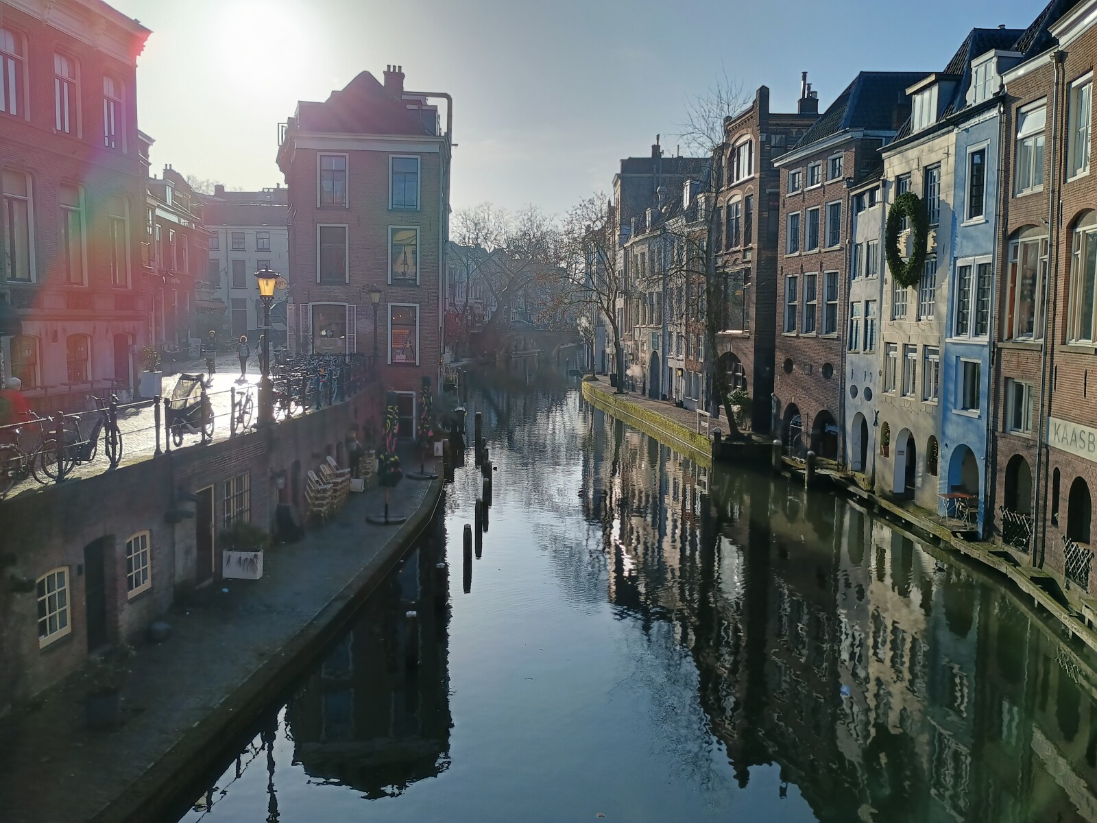 IMG_20260207_101753000_HDR.jpg