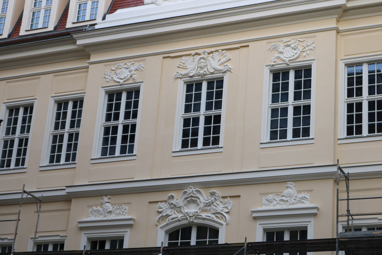 IMG_8776.jpg