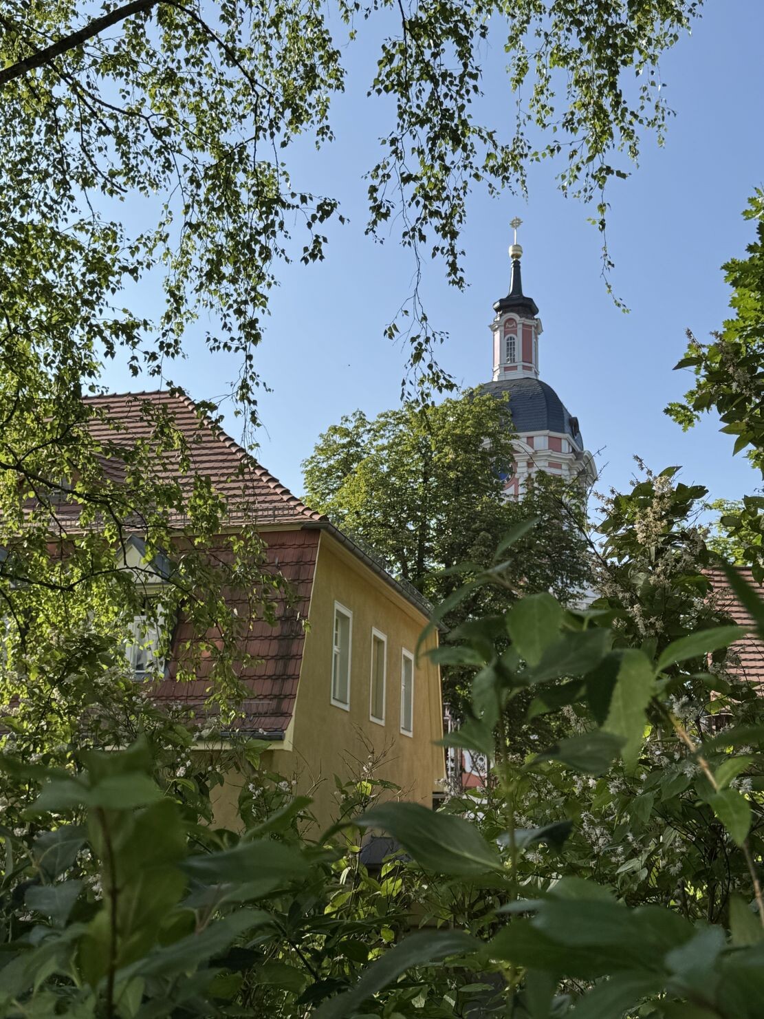 IMG_9800.jpg