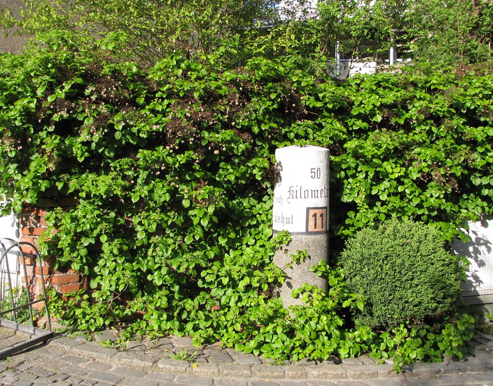 moosburg_isar_17a_IMG_1777.jpg